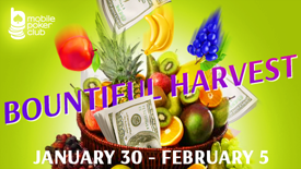 New promo \"Bountiful harvest\"!